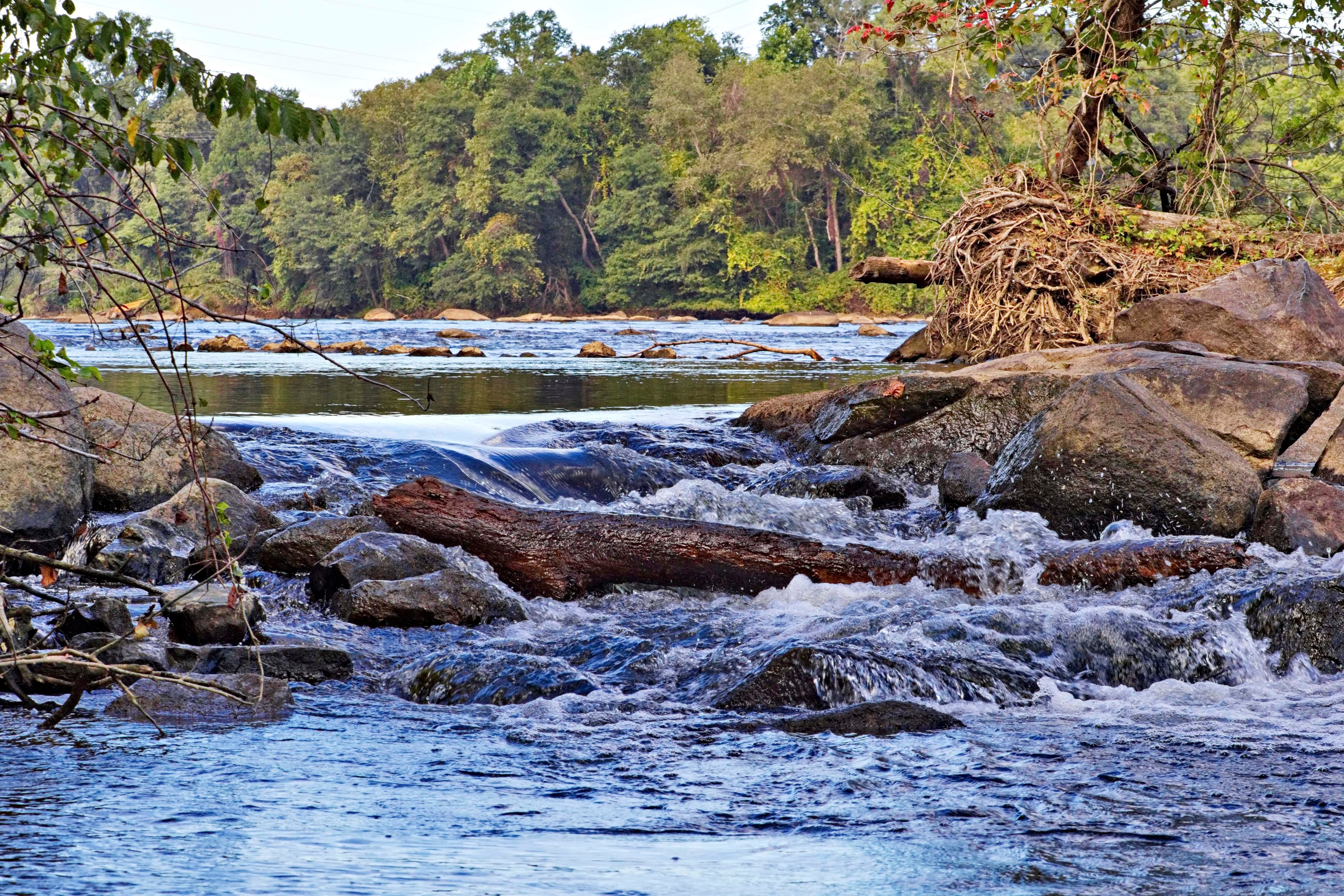 iStock_StreamWater_Medium.jpg